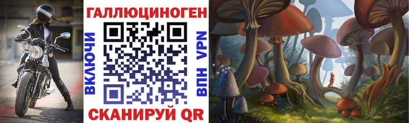 Псилоцибиновые грибы Psilocybe  Новошахтинск 